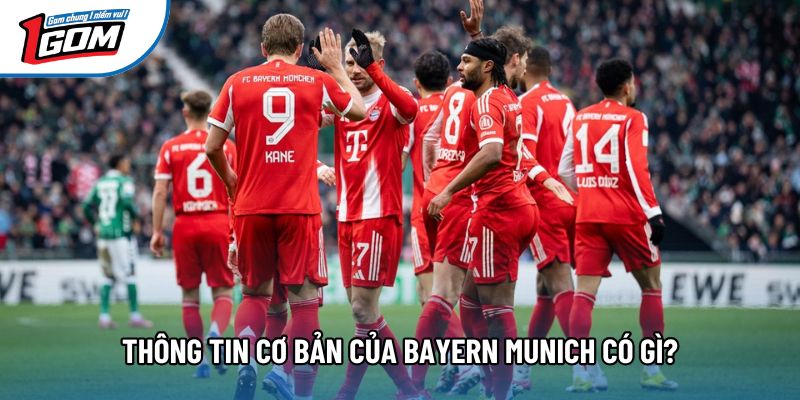 Thông tin cơ bản của Bayern Munich có gì?